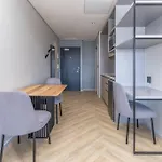 Beautiful Brand-New Luxury Apartment In The City